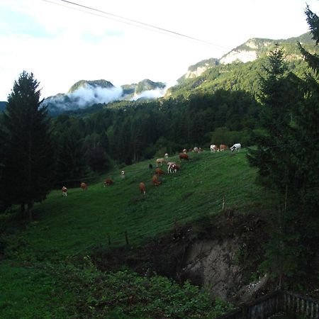 Holiday Home Bela Bohinjska Bela Εξωτερικό φωτογραφία